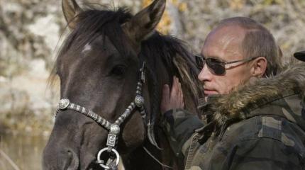 Путиным накрыло: на что вдохновил американцев русский президент Путиным накрыло: на что вдохновил американцев русский президент