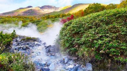 СССР хотел отдать японцам Курилы? СССР хотел отдать японцам Курилы?