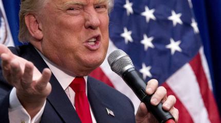 За что американские элиты бьют Дональда Трампа За что американские элиты бьют Дональда Трампа