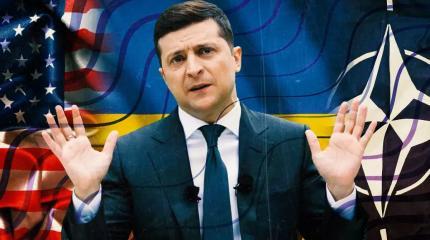 Какие выводы об Украине следуют из доклада Amnesty International Какие выводы об Украине следуют из доклада Amnesty International