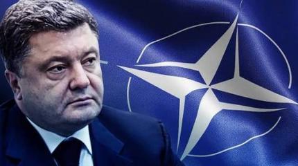 Украина призывает НАТО: Чего еще ждать от Порошенко? Украина призывает НАТО: Чего еще ждать от Порошенко?