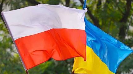 Украине нет дела до судьбы соотечественников в Польше Украине нет дела до судьбы соотечественников в Польше