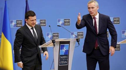 Морковка для президента: Володя, приезжай, Вильнюс ждет тебя, поговорим Морковка для президента: Володя, приезжай, Вильнюс ждет тебя, поговорим