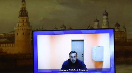 Прокуратура требует замены срока Навального