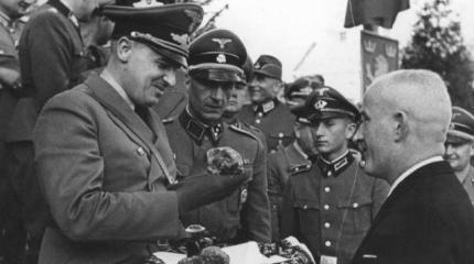 «Польская красавица» должна увидеть своё настоящее лицо «Польская красавица» должна увидеть своё настоящее лицо