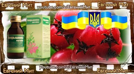 «Украинский Боярышник» убил уже сотни человек!