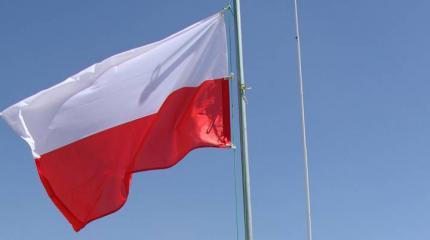 Польша просит танки у ЕС для борьбы с Россией Польша просит танки у ЕС для борьбы с Россией