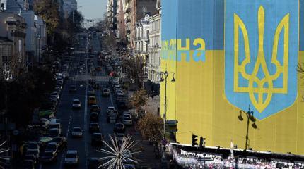 Борьба пауков в банке Борьба пауков в банке