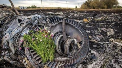 Нидерланды заподозрили Киев в причастности к гибели малазийского «Боинга»