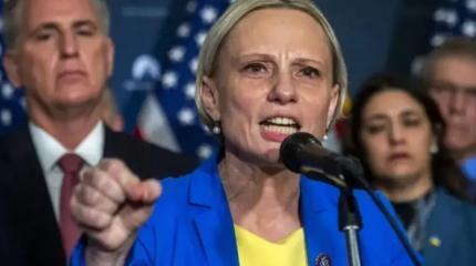 Украинка в конгрессе США призвала Киев смириться с потерей территорий Украинка в конгрессе США призвала Киев смириться с потерей территорий