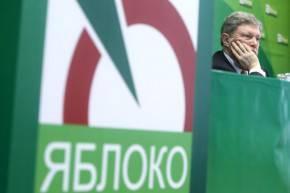Партии «Парнас» и «Яблоко» поссорились из-за выборов
