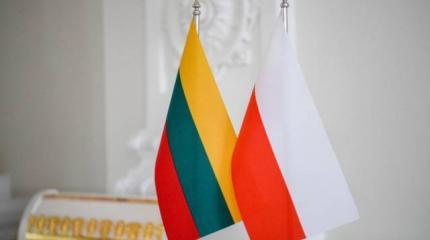Литва и Польша призвали ЕС к более жестким мерам воздействия на Минск Литва и Польша призвали ЕС к более жестким мерам воздействия на Минск
