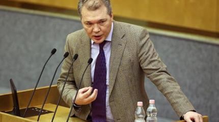 Калашников призвал МИД России начать выдачу паспортов РФ в Донбассе Калашников призвал МИД России начать выдачу паспортов РФ в Донбассе