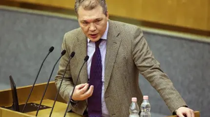 Калашников призвал МИД России начать выдачу паспортов РФ в Донбассе Калашников призвал МИД России начать выдачу паспортов РФ в Донбассе