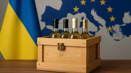 Лечить алкоголика ящиком водки: Венгрия возмущена сбором денег для Киева
