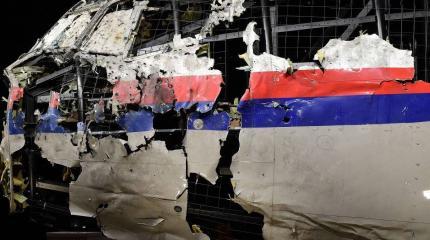 Суд в Гааге по делу MH17: Нидерланды пошли на грубейшие нарушения Суд в Гааге по делу MH17: Нидерланды пошли на грубейшие нарушения