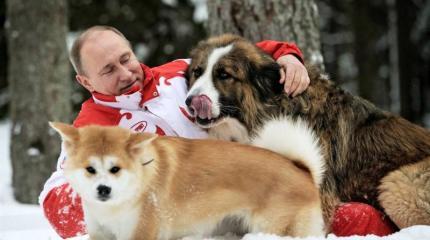 Это не «Россия путинская» – это «Путин – российский» Это не «Россия путинская» – это «Путин – российский»