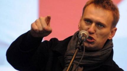 Бревна в глазу Навального Бревна в глазу Навального