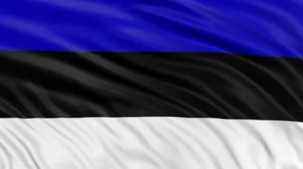 Эстония: Никакой русофобии? Только русофобия! Эстония: Никакой русофобии? Только русофобия!