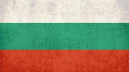 Болгария: современное рабство настигло 29000 болгар Болгария: современное рабство настигло 29000 болгар