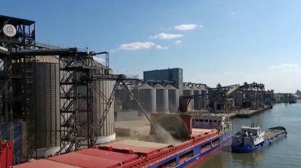 Почему Россия не прекращает зерновую сделку Почему Россия не прекращает зерновую сделку