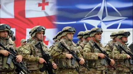 Запад и НАТО теряют влияние в Грузии. Москва готова к сотрудничеству Запад и НАТО теряют влияние в Грузии. Москва готова к сотрудничеству
