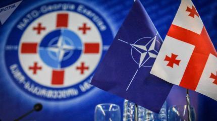 Саакашвили и НАТО предали Грузию, Россия - последняя надежда грузин Саакашвили и НАТО предали Грузию, Россия - последняя надежда грузин