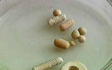 Новый прорыв в медицине российских учёных благодаря санкциям