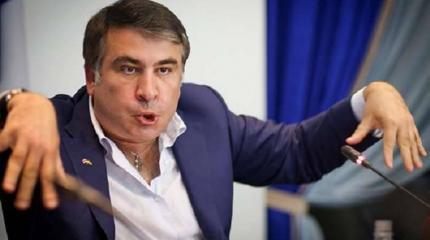 Посол США о Саакашвили: Он же придурок Посол США о Саакашвили: Он же придурок