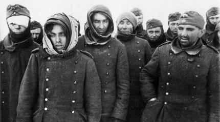 Вот для чего был нужен мальчик Вот для чего был нужен мальчик