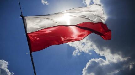 Почему поляки не верят данным властей о коронавирусе Почему поляки не верят данным властей о коронавирусе