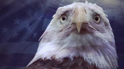 Умалишенная политика США Умалишенная политика США
