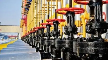 Госдума предложила газ для Донбасса дешевле, чем для ЕС Госдума предложила газ для Донбасса дешевле, чем для ЕС