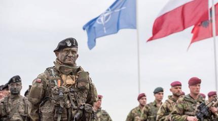 Поляки устали от русофобии руководства страны Поляки устали от русофобии руководства страны