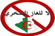 Феномен «сланцевой» оппозиции в нефтеносном Алжире