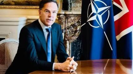 НАТО в истерике: Рютте приводит в чувство премьера Эстонии