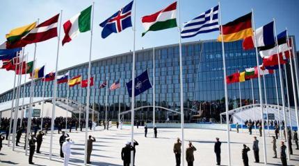 НАТО на перепутье — идти на север либо назад