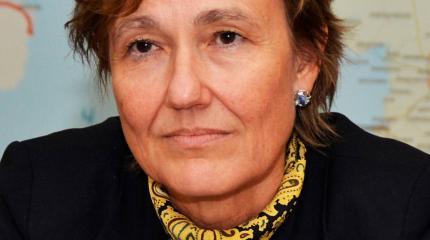 Посол Анка Фельдгузен рассказала, почему Украина не сможет вступить в НАТО Посол Анка Фельдгузен рассказала, почему Украина не сможет вступить в НАТО