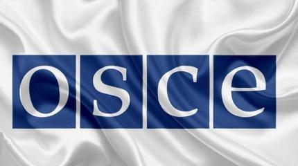 Крыму не дали слова на конференции ОБСЕ, но заслушали русофобов Украины Крыму не дали слова на конференции ОБСЕ, но заслушали русофобов Украины