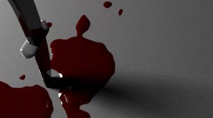 В Харькове девушка зарезала парня на политической почве В Харькове девушка зарезала парня на политической почве