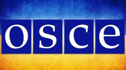 ОБСЕ призналась, что игнорирует нарушение прав человека на Украине ОБСЕ призналась, что игнорирует нарушение прав человека на Украине