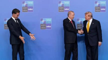 Саммит НАТО в Анкаре и украинский вопрос: праздник не для всех