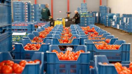 Россельхознадзор обнаружил попытки реэкспорта запрещенной в России продукции