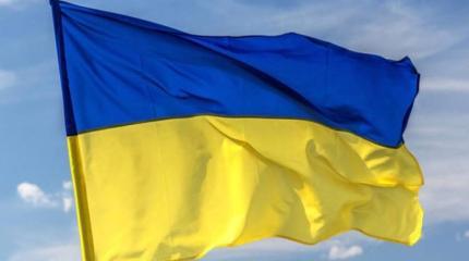 ПАСЕ проинспектирует Украину