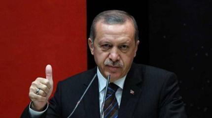 Турция может аннексировать Аджарию на фоне протестов в Тбилиси