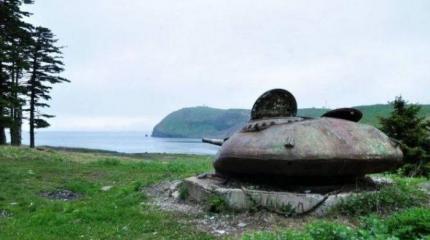 Япония просит США помочь с Курилами Япония просит США помочь с Курилами