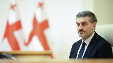 Президентом Грузии стал чемпион России Президентом Грузии стал чемпион России