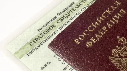 В России отменят карточку СНИЛС В России отменят карточку СНИЛС