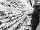Россия запретила ввоз мясных продуктов из Литвы и Польши