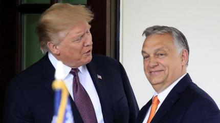 Орбан верит, что Трамп остановит украинский конфликт. Он что-то знает? Орбан верит, что Трамп остановит украинский конфликт. Он что-то знает?